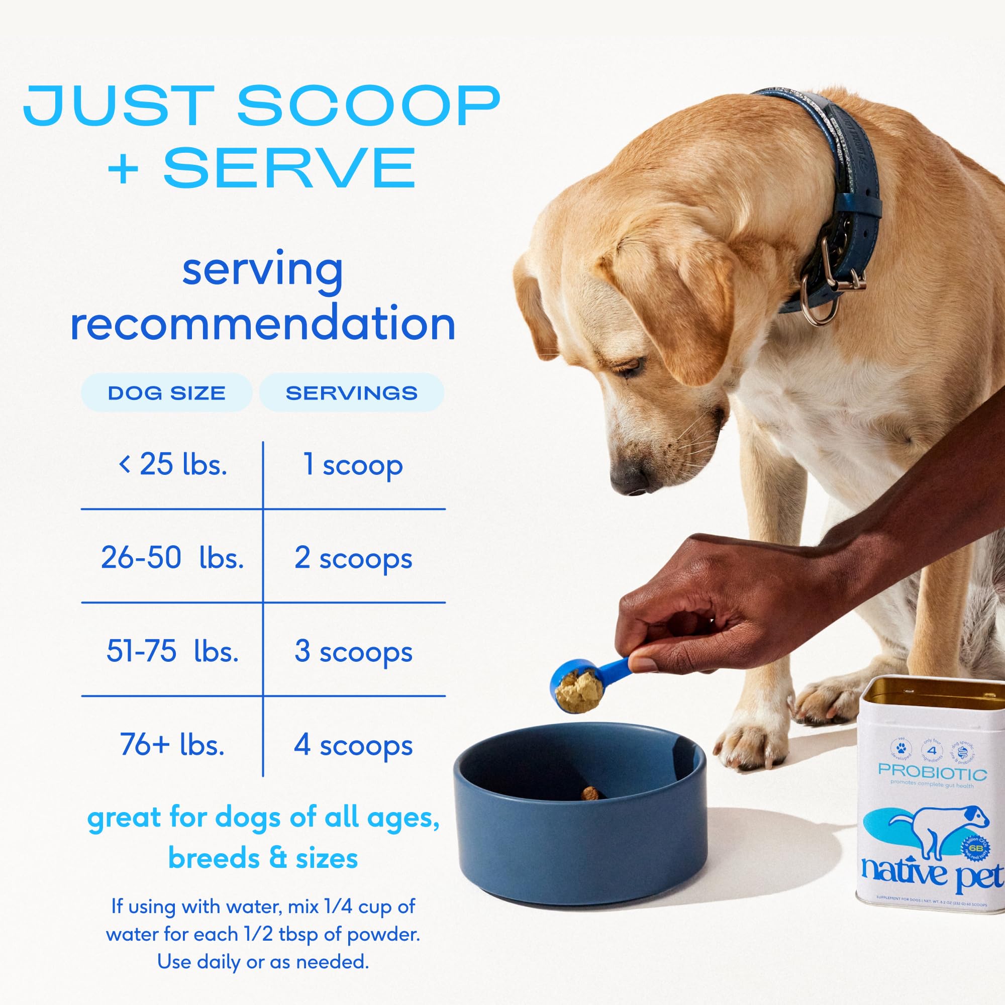 Native Pet Beef Bone Broth for Dogs (9.5 oz) & Probiotic for Dogs (16.4 oz.) - Dog Food Topper for Picky Eaters and Dog Probiotic Powder + Prebiotic + Bone Broth Powder for Dog Digestive Issues - Image 9