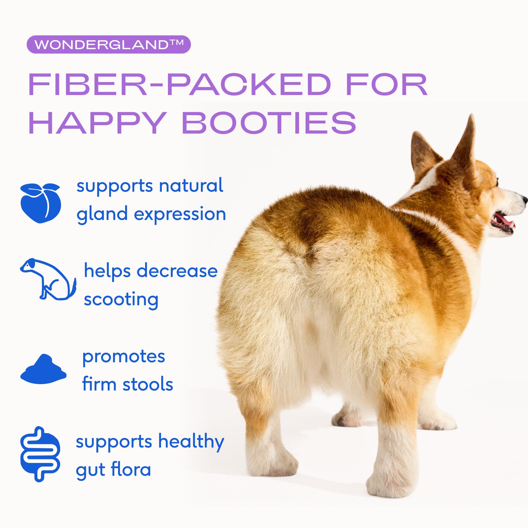 Native Pet Butt Stuff Bundle: Pumpkin Powder (30 Scoops), WonderGland Anal Gland Treatment (30 Scoops) & Probiotic Powder (30 Scoops) - Organic Fiber for Digestive & Gut Health Support - Image 4