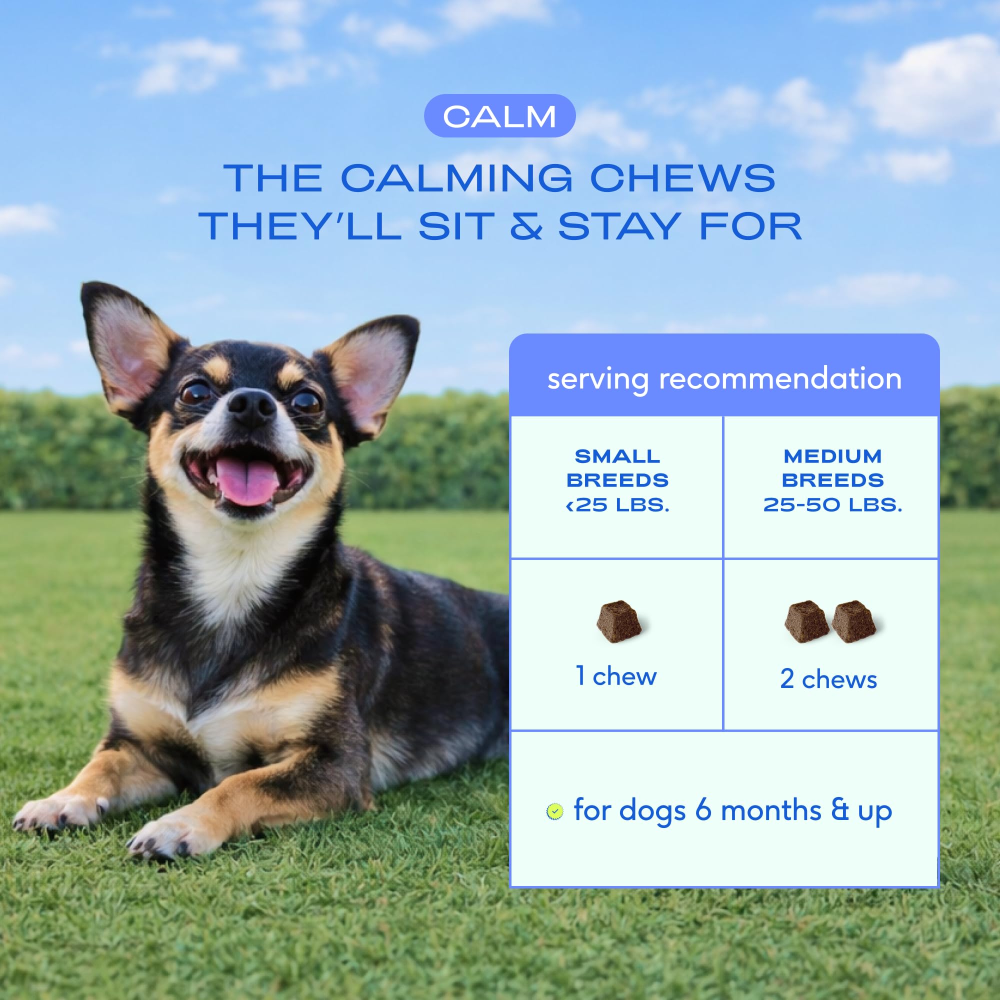 Native Pet Calming Chews for Dogs Medium Breed - Promotes Calming Effect, Supports Emotional Balance & Reduces Hyperactivity - Hemp Seed, Melatonin for Dogs, L-Theanine & Casein - 30 Days Supply - Image 7