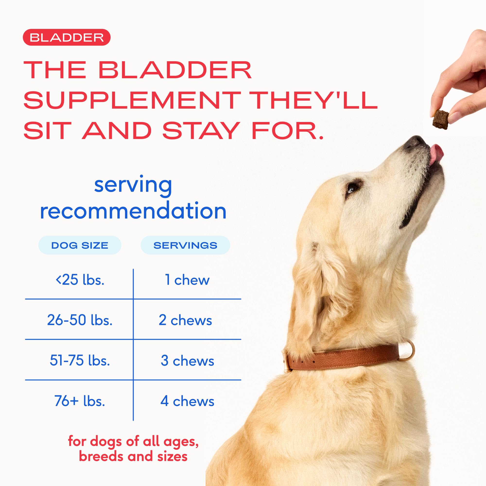 Native Pet Bladder & Dental Health Bundle: Bladder Chews for Dogs (30 Air-Dried Chews) & Yak Chews for Dogs (5 Small Chews) - UTI Treatment & Prevention Plus Dental Sticks Made with Yak Cheese - Image 8
