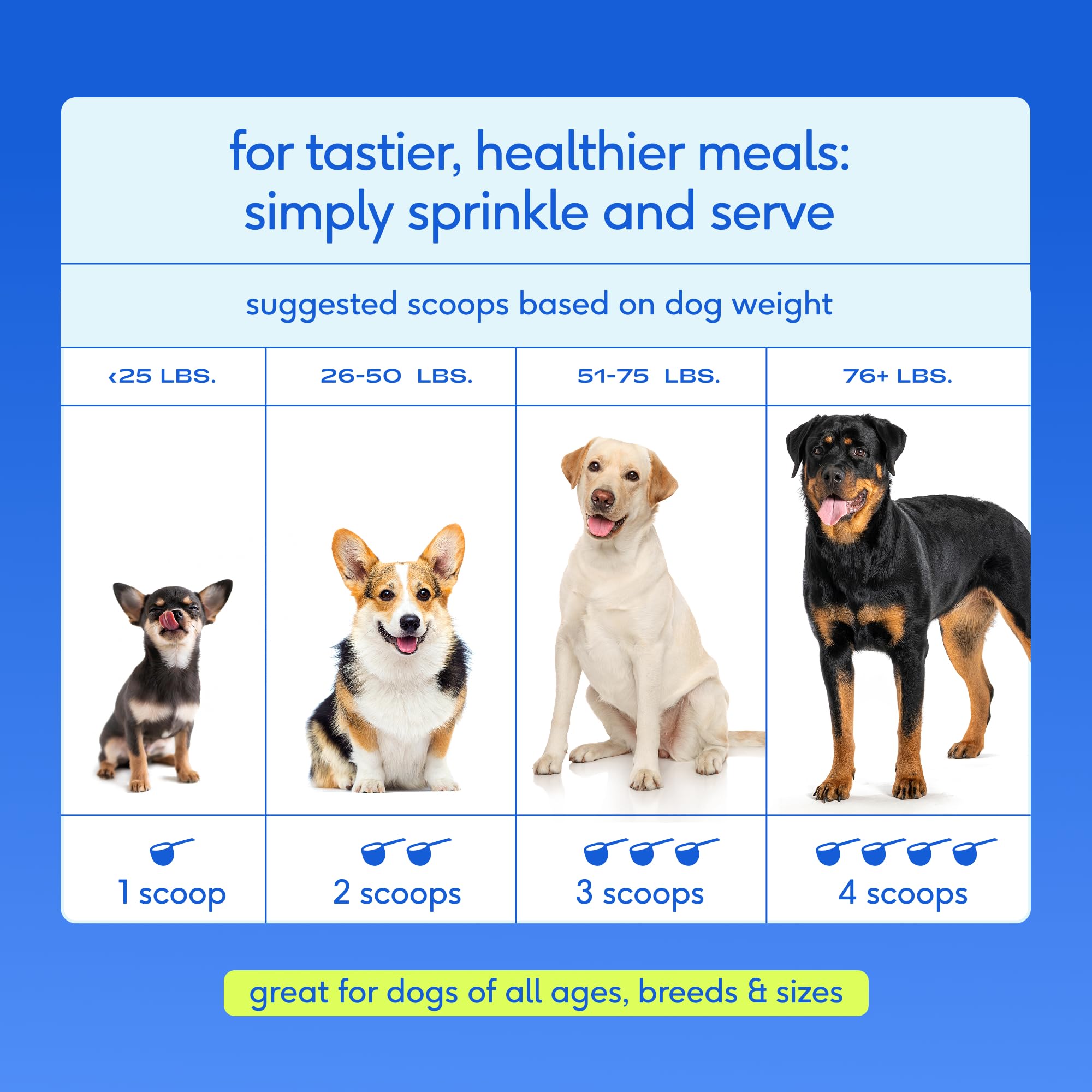 Native Pet Hip & Joint Advanced Care Dog Joint Supplement Powder for Mobility & Movement Support, Joint Supplement for Dogs with HMB, UC-II Collagen, Green Lipped Mussel & Hyaluronic Acid – 30 Scoops - Image 10