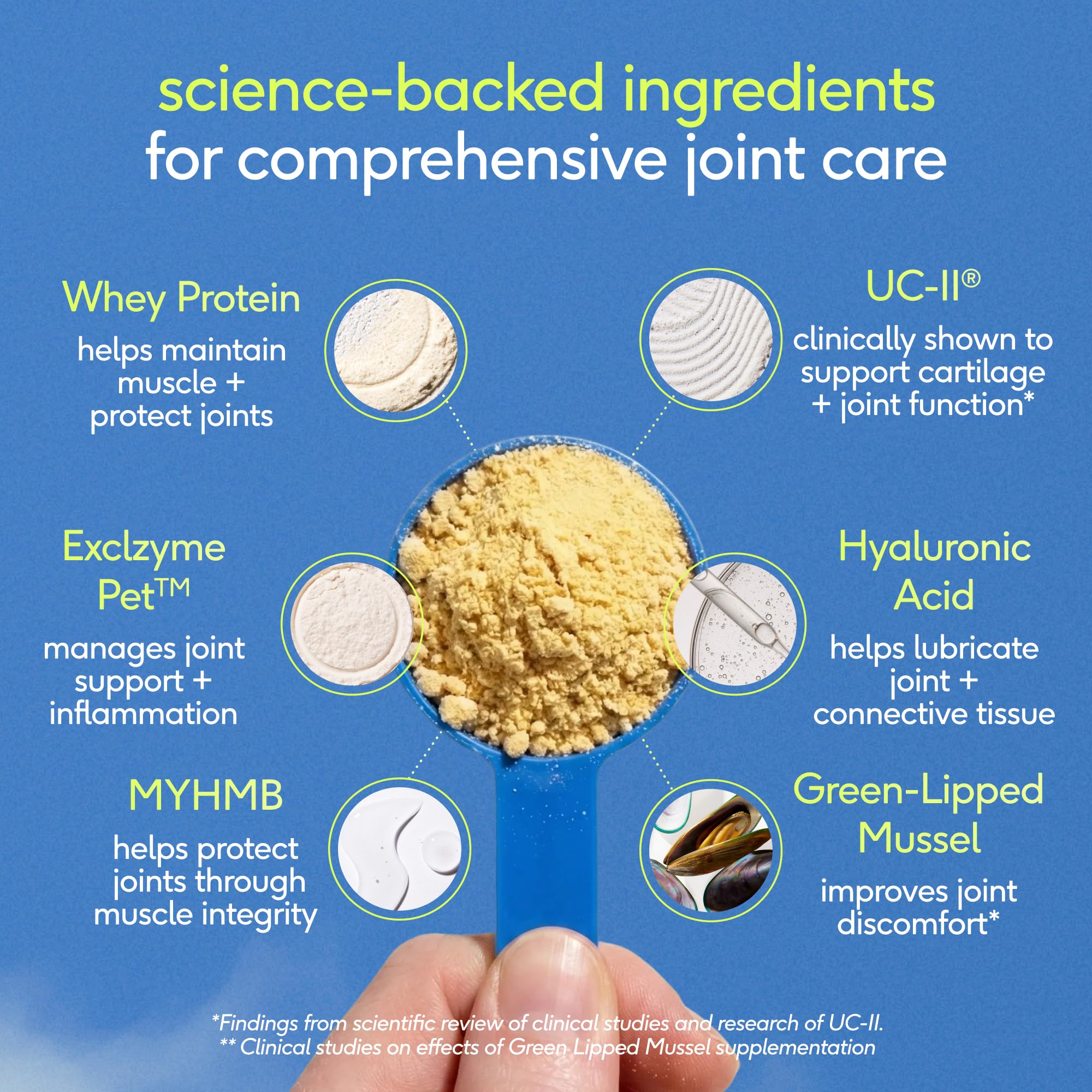 Native Pet Hip & Joint Advanced Care Dog Joint Supplement Powder for Mobility & Movement Support, Joint Supplement for Dogs with HMB, UC-II Collagen, Green Lipped Mussel & Hyaluronic Acid – 30 Scoops - Image 3