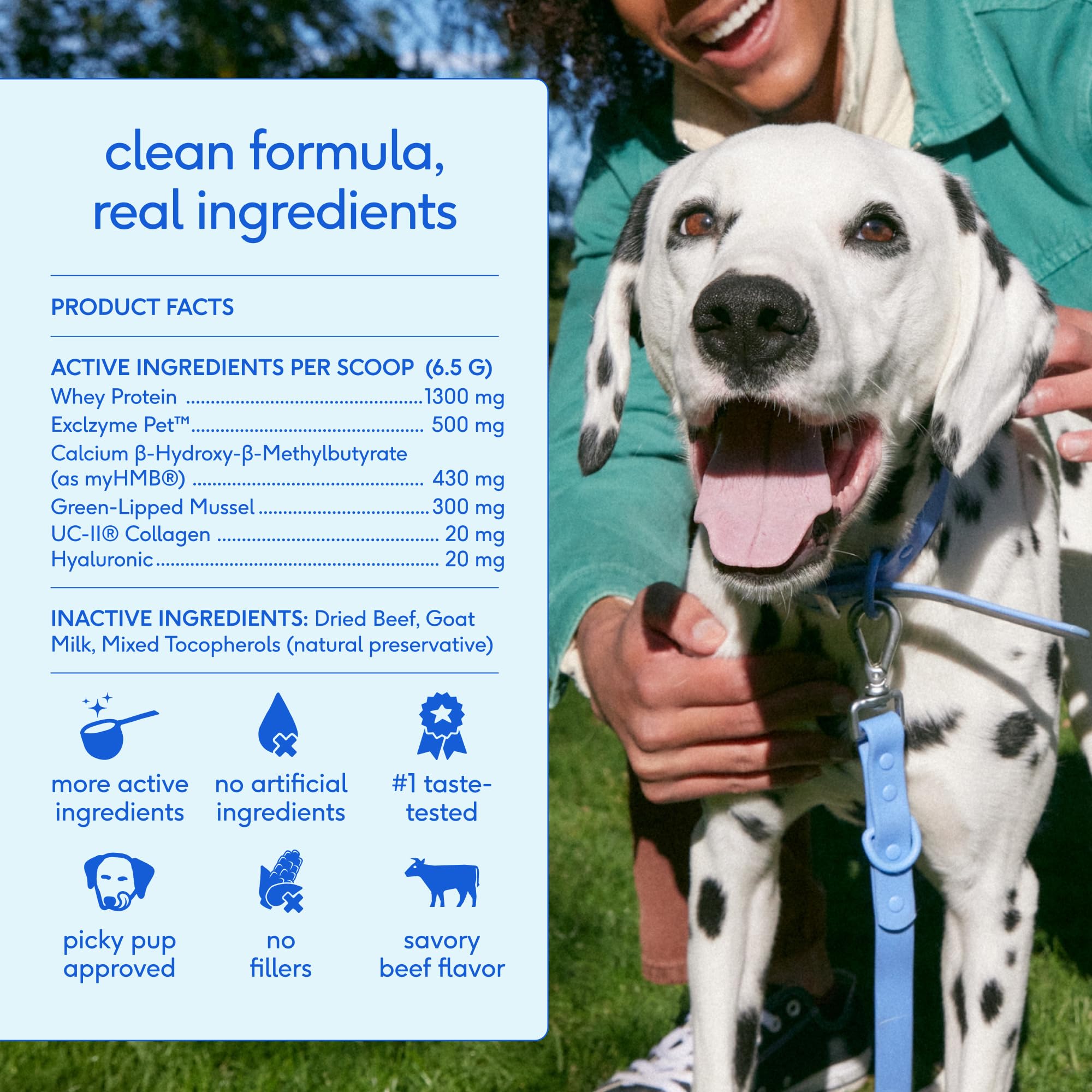 Native Pet Hip & Joint Advanced Care Dog Joint Supplement Powder for Mobility & Movement Support, Joint Supplement for Dogs with HMB, UC-II Collagen, Green Lipped Mussel & Hyaluronic Acid – 30 Scoops - Image 6