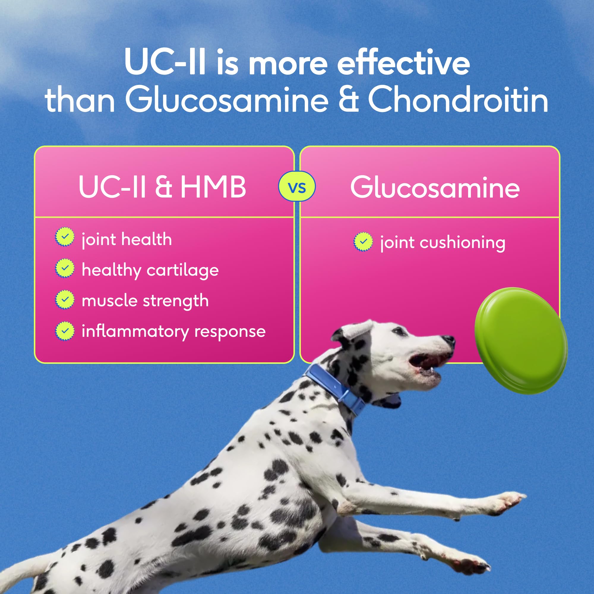 Native Pet Hip & Joint Advanced Care Dog Joint Supplement Powder for Mobility & Movement Support, Joint Supplement for Dogs with HMB, UC-II Collagen, Green Lipped Mussel & Hyaluronic Acid – 30 Scoops - Image 8