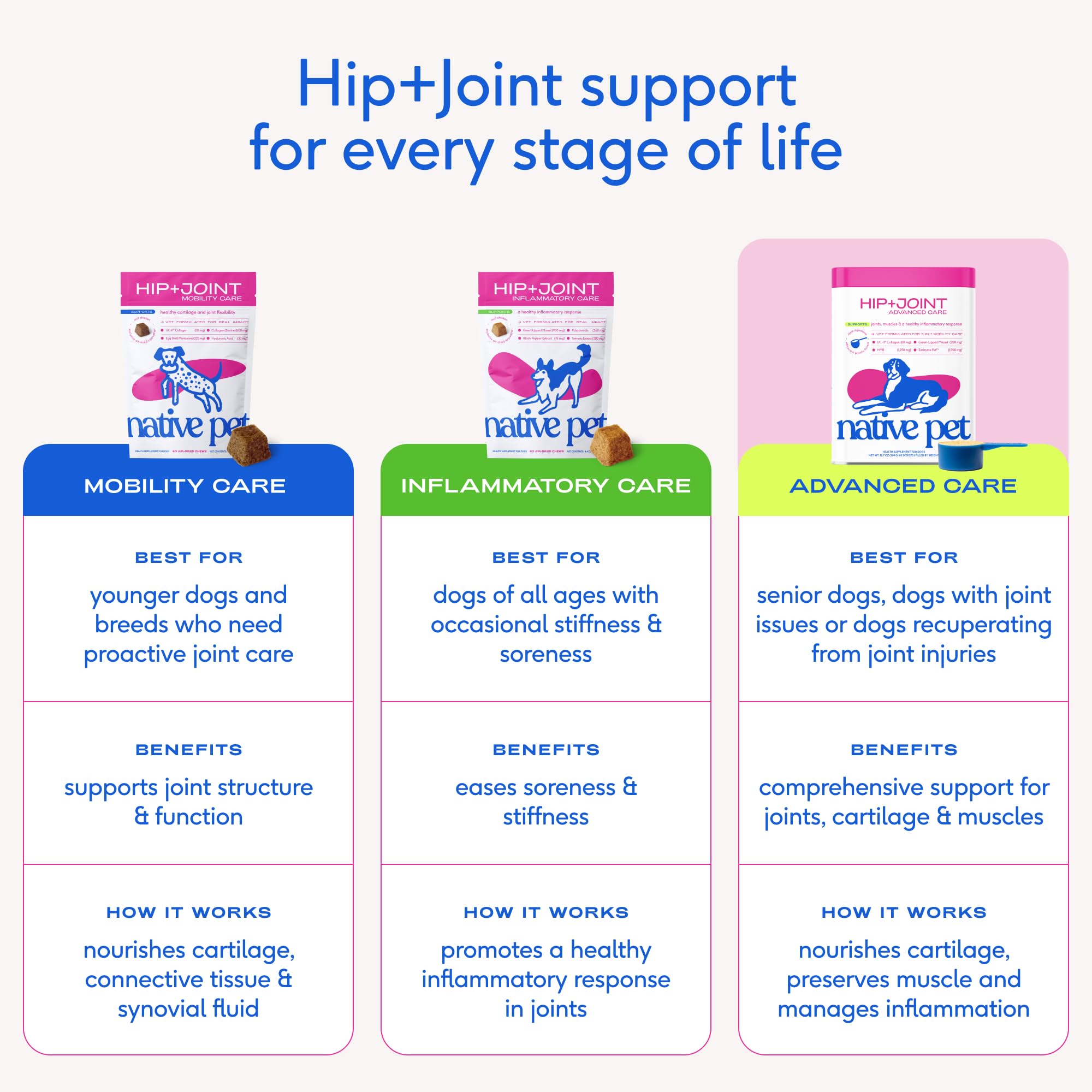 Native Pet Hip & Joint Advanced Care Dog Joint Supplement Powder for Mobility & Movement Support, Joint Supplement for Dogs with HMB, UC-II Collagen, Green Lipped Mussel & Hyaluronic Acid – 30 Scoops - Image 9