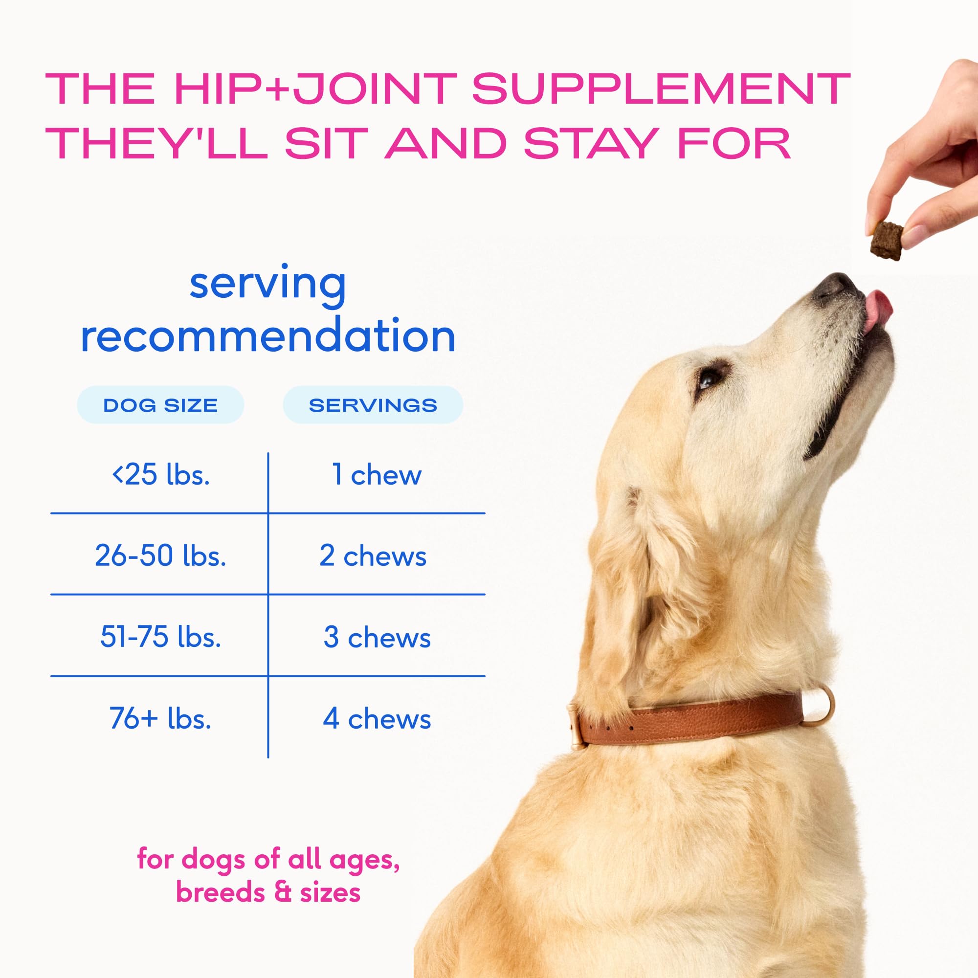 Native Pet Mobility Care - Hip & Joint Supplement for Dogs - UC-II Collagen, Egg Shell Membrane & Hyaluronic Acid - Dog Joint Supplement Chews Supports Cartilage, Mobility & Flexibility - 60 Chews - Image 8