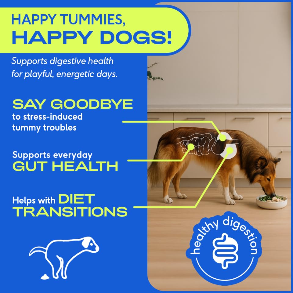 Native Pet Probiotic for Dogs & Omega Oil for Dogs| Vet Created Probiotic Powder for Digestive Issues | 8 Oz. Omega Oil & 16 Oz. Probiotic - Image 4